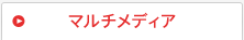 ޥǥ
