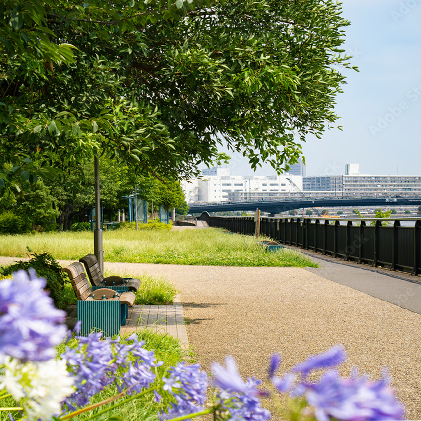 東雲水辺公園 